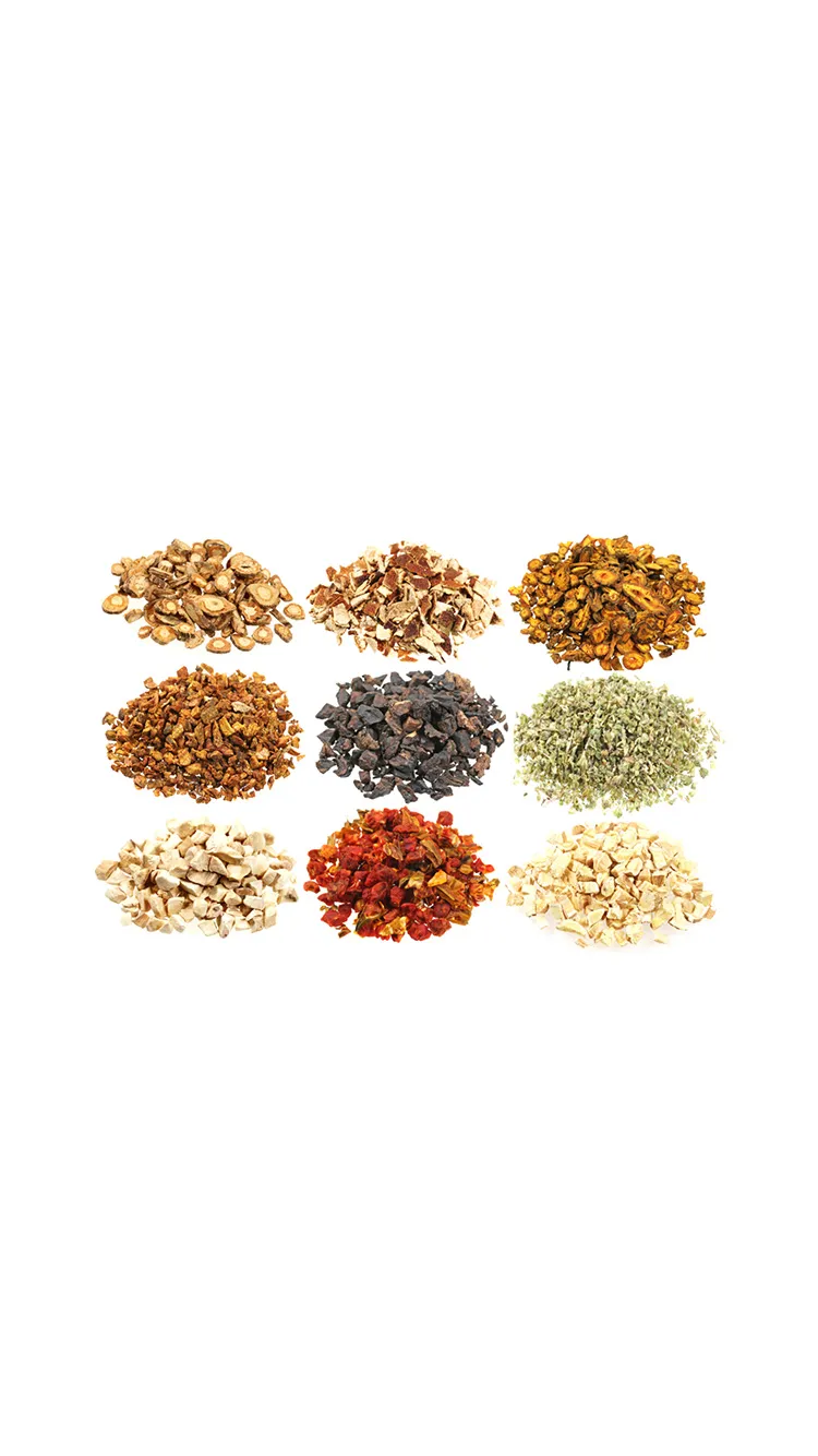 電脳資料庫 - 東亜医学協会『漢方の臨床』