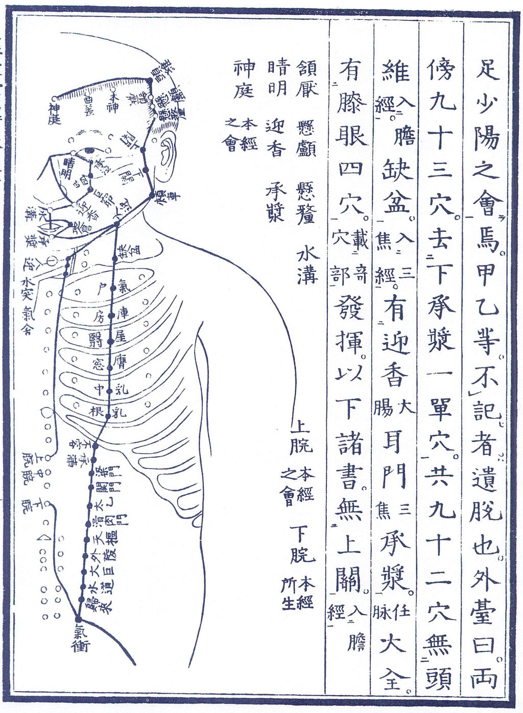 鍼灸経絡図・図版資料データベース公開 - 東亜医学協会『漢方の臨床』